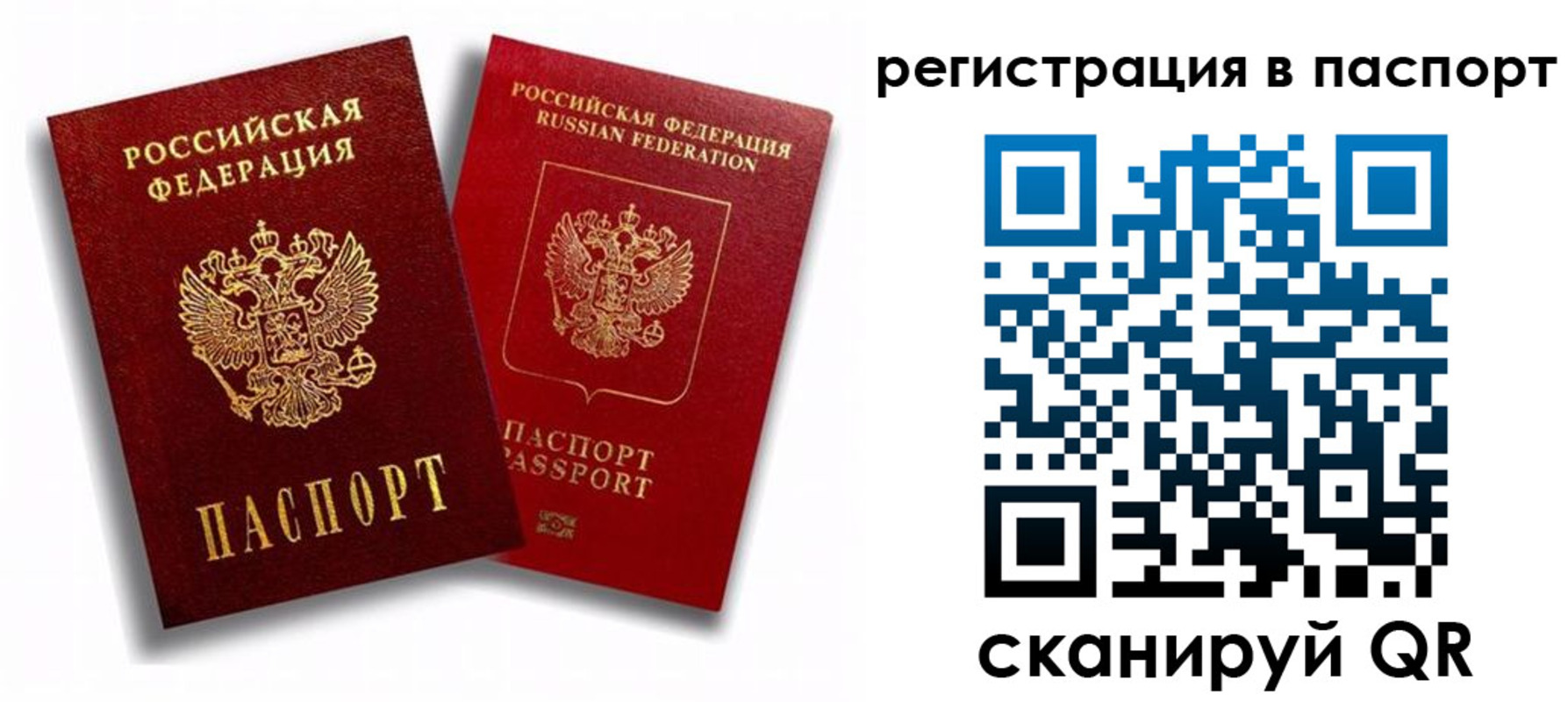 прописка 2025 в Павловске